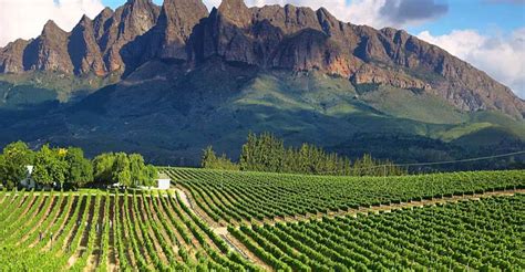From Cape Town Full Day Cape Winelands Tour Getyourguide