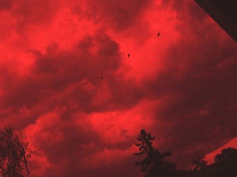 Aesthetic Red Sky Untitled Red Sunset Red Sky Clouds Color Is