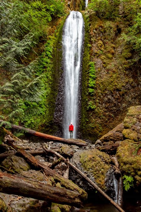 20 Wildly Beautiful Oregon Waterfalls Worth The Hype Guide