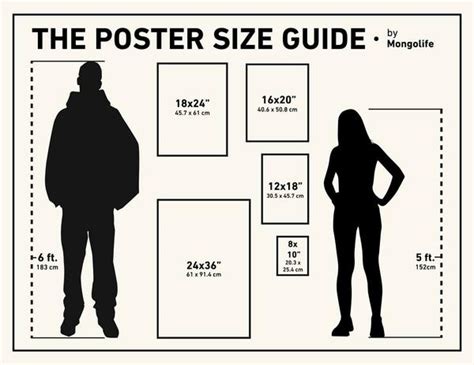 What are the standard sizes of poster frames? The Big Frame Guide — Mongolife