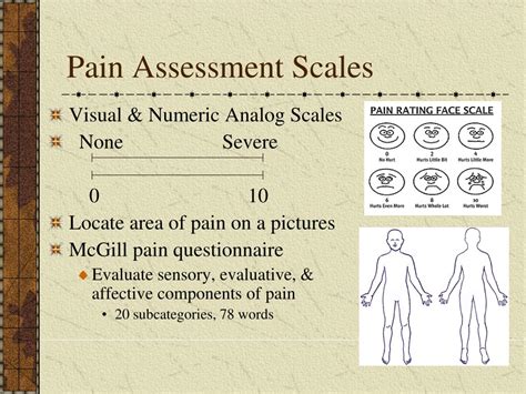 PPT PAIN PAIN CONTROL THEORIES PowerPoint Presentation Free Download ID
