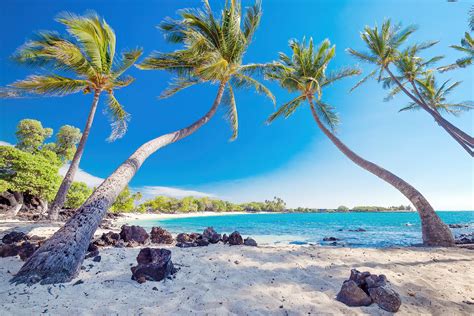 10 Best Things To Do In Big Island Hawaii What Is Hawaiis Big