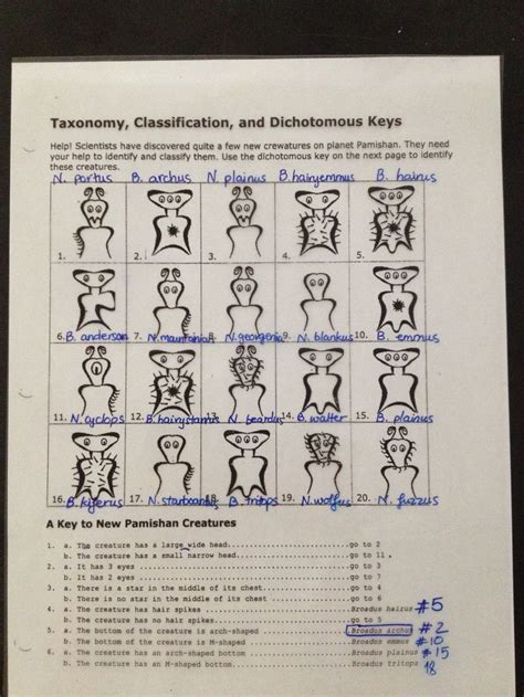 Accelerate learning worksheet answers 6th grade science. 27 Taxonomy Classification And Dichotomous Keys Worksheet ...