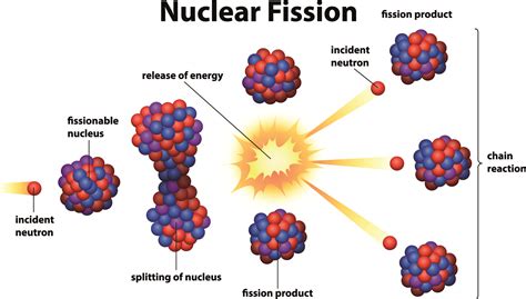 A Lifetime Of Fission The Discovery Of Nuclear Energy Lindau Nobel