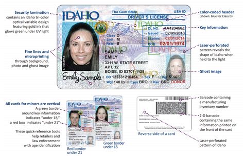 Examples Of Fake Or Altered Ids