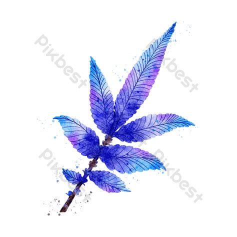 Blue Plant Branch Watercolor Png Images Psd Free Download Pikbest