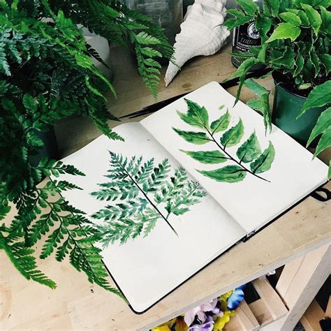 Quick Fern Leaf Studies 💚 Lena Danya Nature Paintings Instagram