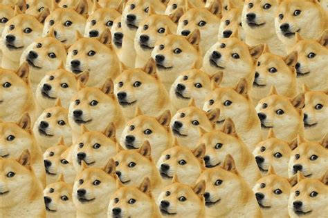 Doge Wallpaper ·① Download Free Beautiful High Resolution Wallpapers