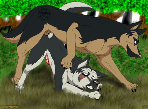 Rule 34 Feral Gay Ginga Legend Weed Ginga Nagareboshi Gin Jerome John