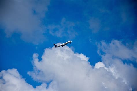 Free Images Bird Wing Cloud Sky Airplane Aircraft Vehicle