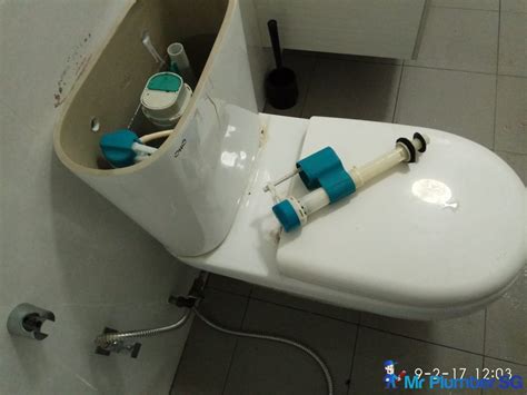 Replacing Toilet Flush System Toilet Surgery