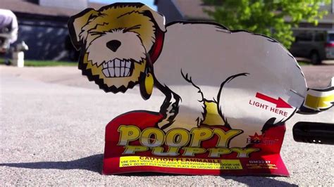 Poopy Puppy Firework Youtube
