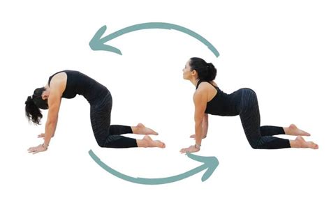 Three Exercises For Lower Back Pain Guide By A Physiotherapist