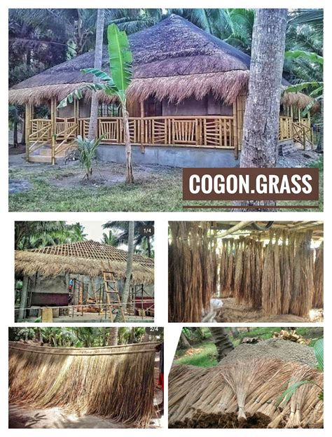 Available For Sale Cogon Grass Jano Bahay Kubo Maker