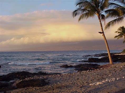 Cloudy Sunset Off The Beach In Kona Hawaii With Palm Trees Gently