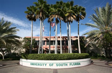 University Of South Florida Tampafl Ganvwale