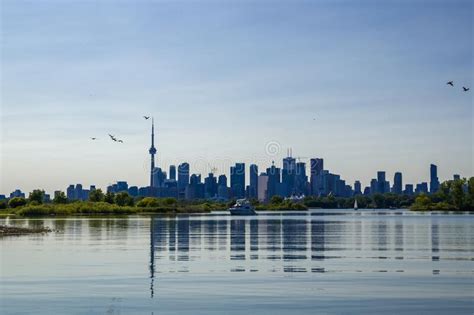 Toronto Cityscape With Skyscraper Calm Lake Water Urban Skyline