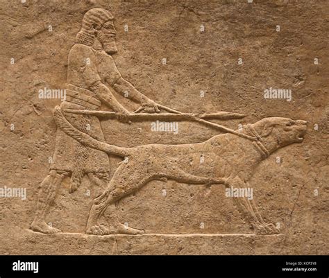 Hunting Mesopotamia Lion Relief Keepers With Dogs Neo Assyrians