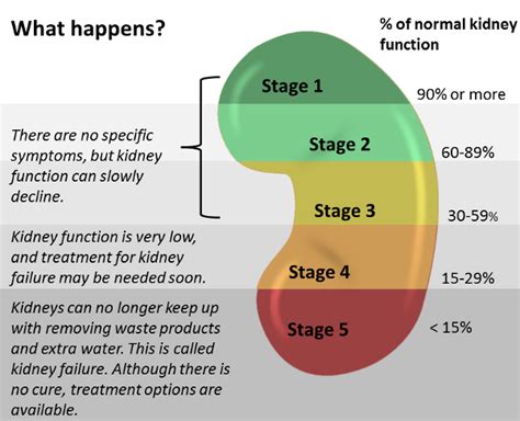 Stages Of Chronic Kidney Disease St Anthonys Hospice