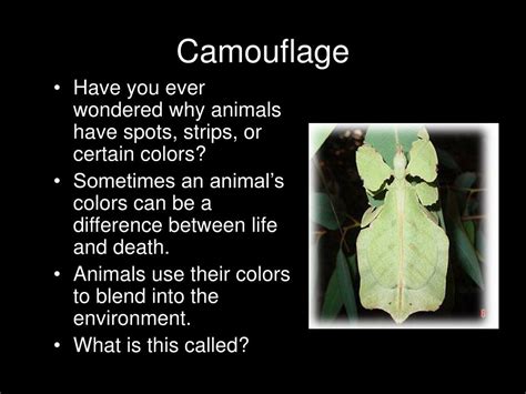 Ppt Camouflage And Mimicry Powerpoint Presentation Free Download