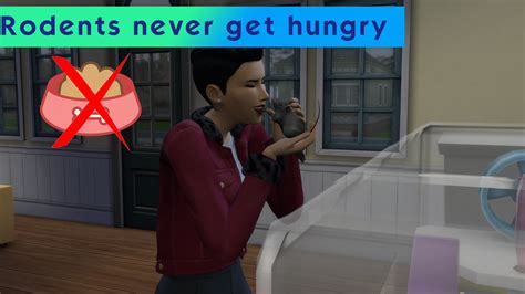 Mod The Sims Rodents Never Get Hungry