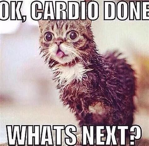 Cardio Workout Memes Funny Workout Humor Workout Memes