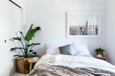 Normalmente vemos estos elementos decorativos en las mesas, en las esquinas de las casas. Dormitorios con plantas. Fotos, ideas y consejos