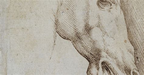 Spencer Alley Parmigianino 1503 1540 Drawings Royal