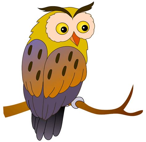 Owl Clipart Free Download Transparent Png Creazilla