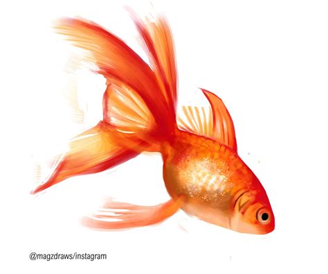 Finished Goldfish Painting I Did In Practise For My Fnp Goldfish