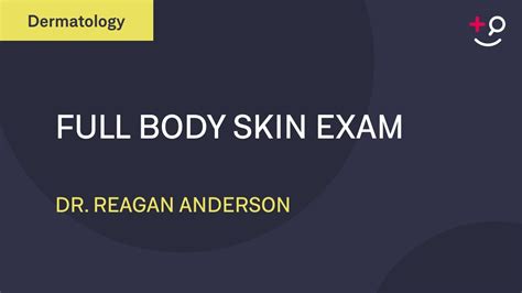 Full Body Skin Exam [dermatology] Youtube