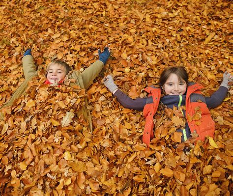 Children Laying In Autumn Leaves Stock Image F0137699 Science