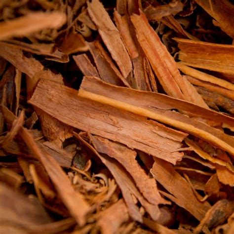 Cinnamon Bark Cinnamomum Zeylanicum Uses And Benefits