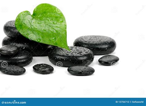 Zen Stones And Leaves Stock Photo Image Of Natural Buddhism 13756712