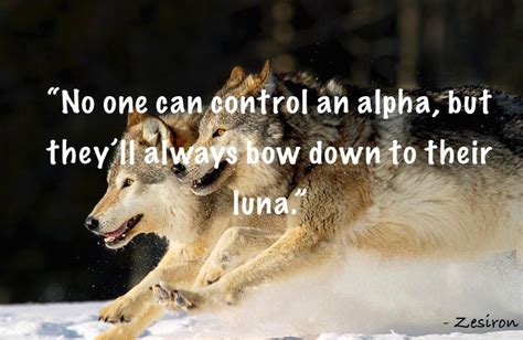 Pin By Zesiron On My Quotes Wolf Quotes Alpha Werewolf Lone Wolf Quotes