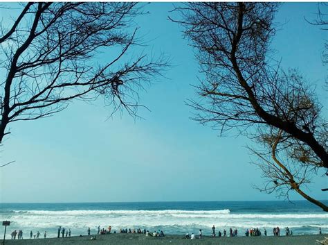 Check spelling or type a new query. Warna Warni D.I. Yogyakarta: Pantai Goa Cemara