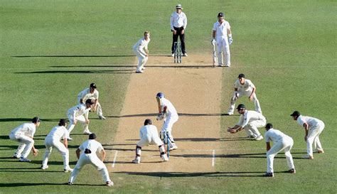Learn The Names And Role Of All Cricket Fielding Positions