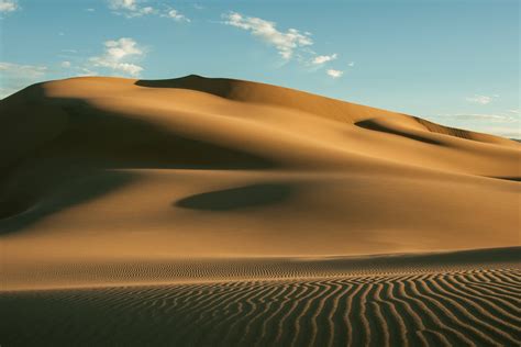 Dunes Mongolia 4k Gobi Camel Hd Wallpaper