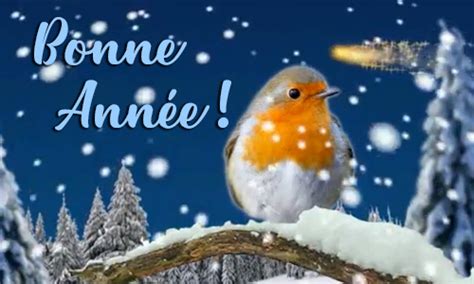 Joyeux anniversaire avec photo et texte personnalisable. Carte Meilleurs voeux - CyberCartes.com