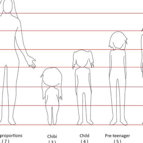 How To Draw Anime Girl Body Proportions