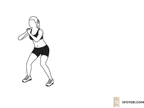 Lateral Walk Illustrated Exercise Guide