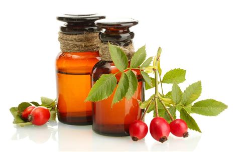 Rosehip oil is known to help lighten scars and fine lines and to generally repair skin. Rosehip Oil Cold Press (end 2/25/2022 6:15 PM)