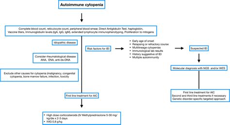 Frontiers Pathogenesis Of Autoimmune Cytopenias In Inborn Errors Of