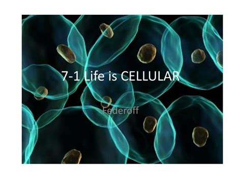 It is the key component for almost all known naturally occurring life on earth. PPT - 7-1 Life is CELLULAR PowerPoint Presentation, free download - ID:2793464