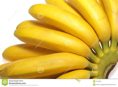 Fresh Bananas Isolated Stock Photo Image Of Shot Life 7243462