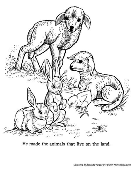 God Created Animals Coloring Page Coloring Pages