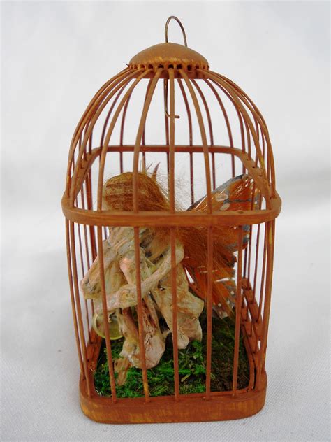 Beau Monde Crafting Caged Fairies