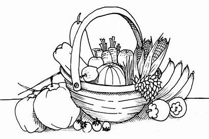 Coloring Vegetable Pages