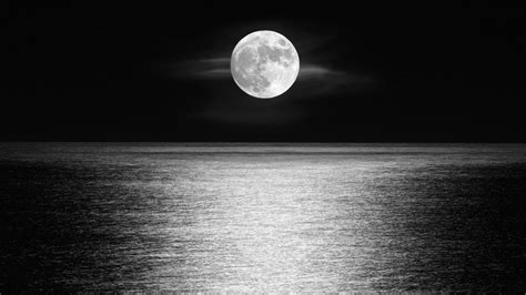 Moon Sea Night 2560x1440 Wqhdwallpaper