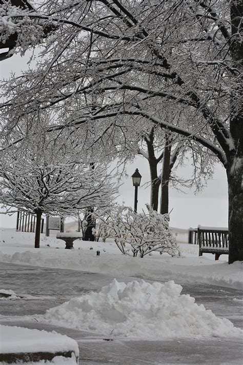 Winter Solitude Photograph By Deshagen Photography Fine Art America